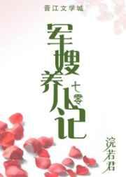军嫂养儿记结局