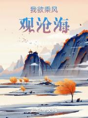 我欲乘风这首歌曲谁是原唱