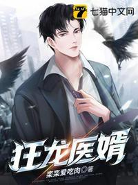 狂龙医婿在线听书